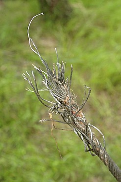 Broken wire rope