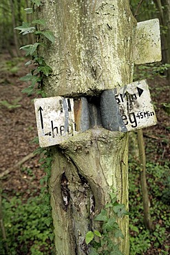 Connated marker on a hiking trail