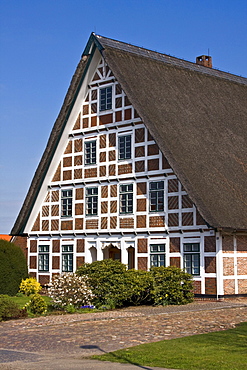 Historic timber-framed house with thatched roof, old farmhouse, Jork, Altes Land area, fruit cultivation, Lower Saxony, Germany, Europe