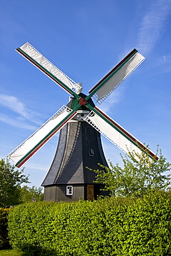 Historic dutch Margareta windmill, Stork Village Bergenhusen, Schleswig-Holstein, Germany, Europe