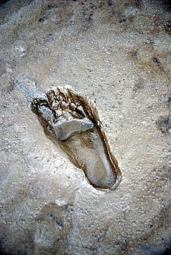 Footprint in tidal mud flats, North Sea, Germany, Europe