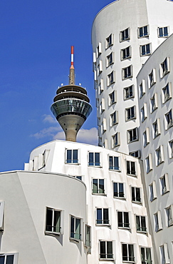 Buildings designed by Frank Gehry and the television tower, Duesseldorf, North Rhine-Westphalia, Germany, Europe