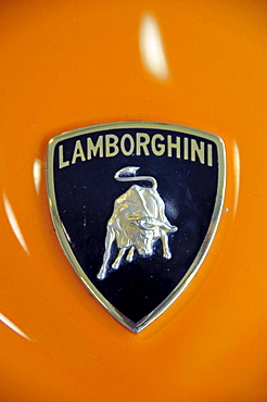 Lamborghini logo