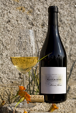 Alvarinho, a Vinho Verde of the Oenologist Anselmo Mendes, one of the most successfully Vinho Verde vintners, Vila Nova de Anha near Viana do Castelo, Minho Region, North Portugal, Europe