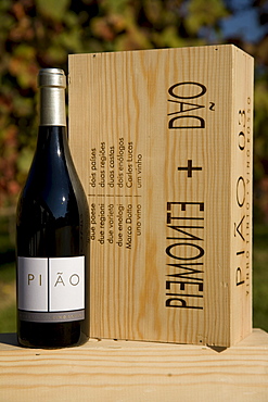 Piao, a red wine blend from Dao and Piemonte, wine from the Dao Sul company, oenologist Carlos Lucas, Carregal do Sal, Dao, Portugal, Europe