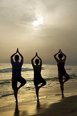 One man and two women, silhouettes, yoga position the tree, beach, sea, Camargue, France, Europe