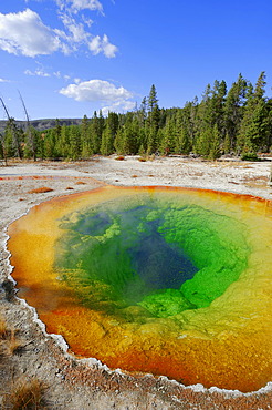 Morning Glory Pool, a hot spring in Upper Geyser Basin, Yellowstone National Park, Wyoming, USA