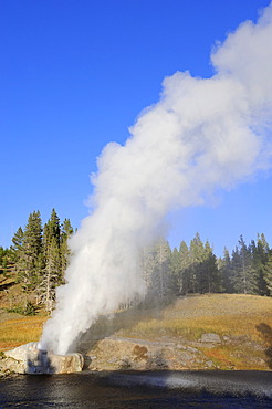 Riverside Geyser, Upper Geyser Basin, Yellowstone National Park, Wyoming, USA