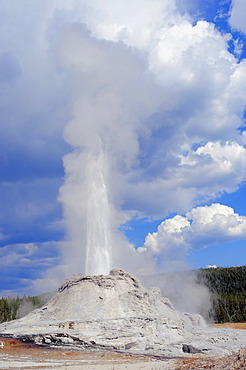 Castle Geyser, Upper Geyser Basin, Yellowstone National Park, Wyoming, USA