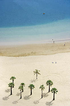 Bird's eye view, palm trees and beach, Playa de las Teresitas, San AndrâˆšÂ©s, Tenerife, Canary Islands, Spain, Europe