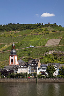 Townscape of Zell and the vineyard "Zeller Schwarze Katz", Moselle, Rhineland-Palatinate, Germany, Europe, PublicGround