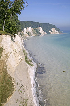 Chalk cliffs and a beech forest (Fagus sylvatica), UNESCO World Heritage site, Jasmund National Park, Ruegen, Rugia, Mecklenburg-Western Pomerania, Baltic Sea, Germany, Europe