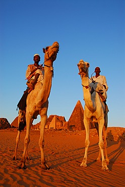 Nomads on camels in front of the pyramids of Meroe, Meroe, Sudan