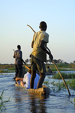 Punters with tourists in the traditional Mokoro dugout canoes on excursion in the Okavango Delta, Botswana, Africa