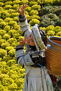 Tourist wearing a traditional costume, Sapa, Vietnam, Asia