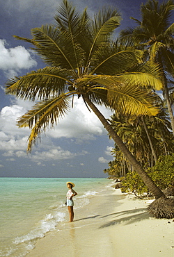 Young woman at a sandy beach with palm trees on Bangaram Island, Lakkadives, India