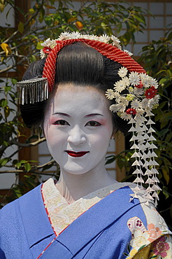 A Maiko, Geisha in training, Kyoto, Japan, Asia