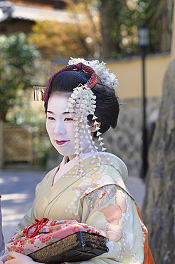 Maiko, geisha in training, in the Gion district, Kyoto, Japan, Asia