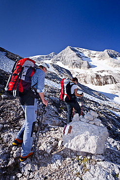 Climbers ascending Mt. Marmolada, Dolomites, Westgrat fixed rope route, Mt. Marmolada in the back, Trentino, Italy, Europe