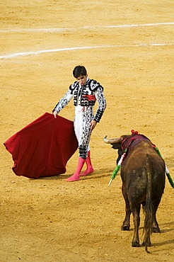 Torero and bull, bull fight, Benidorm, Spain, Europe