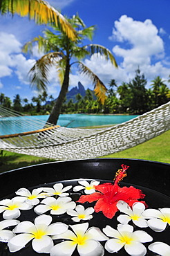 Hammock, palm tree, floral decorations, St. Regis Bora Bora Resort, Bora Bora, Leeward Islands, Society Islands, French Polynesia, Pacific Ocean