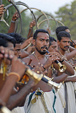 Musicians, Hindu Pooram festival, Thrissur, Kerala, southern India, Asia