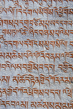 Tibetan Buddhist mantras carved in stone, Tongde Monastery, Zanskar Valley, Zanskar, Ladakh, Jammu and Kashmir, Indian Himalayas, North India, India, Asia