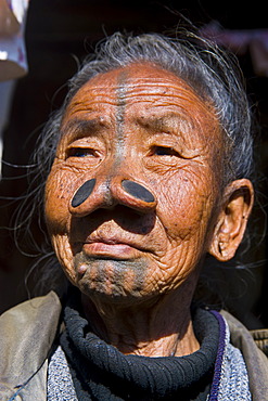 Old woman from the Apatani tribe, known for the pieces of wood in their nose to make them ugly, Ziro, Arunachal Pradesh, northeast India, India, Asia