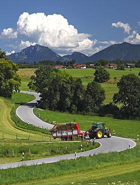 Road, agriculture, landscape, summer, Riegsee lake, Murnau, Upper Bavaria, Bavaria, Germany, Europe