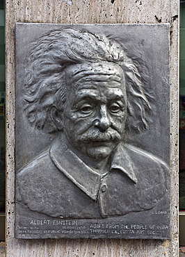 Memorial plaque, Albert Einstein, Ulm, Baden-Wuerttemberg, Germany, Europe