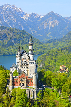 Schloss Neuschwanstein Castle near Fuessen, Allgaeu, Bavaria, Germany, Europe