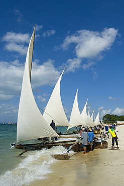 Preparations for a regatta with Ngalawa, traditional double-outrigger canoes, on the beach of Stone Town, Zanzibar, Tanzania, Africa