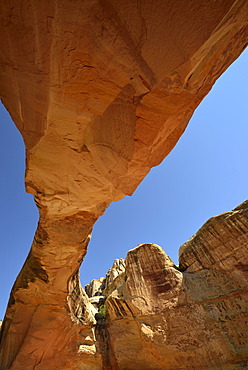 Hickman Bridge Trail, Capitol Reef National Park, Utah, Southwestern USA