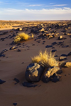 Light and shadows in the Libyan Desert, rocky desert, Libya, Sahara, North Africa, Africa