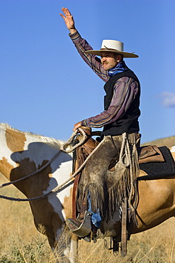 Cowboy sitting on horseback greeting, wildwest, Oregon, USA