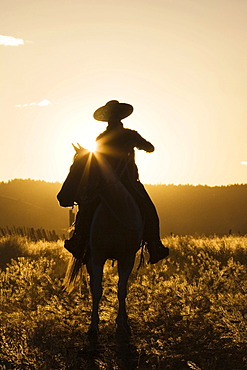 Cowboy horseriding at sunset, Oregon, USA