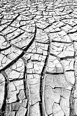 Cracked mud in a dried up water hole, Painted Desert, Hopi Reservation, Navajo Nation Reservation, Arizona, Southwest, United States of America, USA, North America