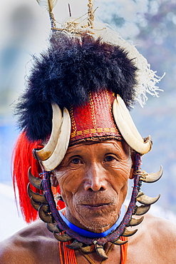 Naga tribal man in traditional outfit, Kisima Nagaland Hornbill festival, Kohima, Nagaland, India, Asia