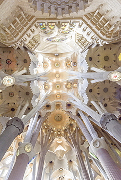 Interior view of the Sagrada Familia by Antoni Gaudi, Barcelona, Catalonia, Spain, Europe