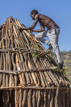 Man of the people of Ovahimba or Himba builds on the roof of a wooden hut, Kunene district, Namibia, Africa