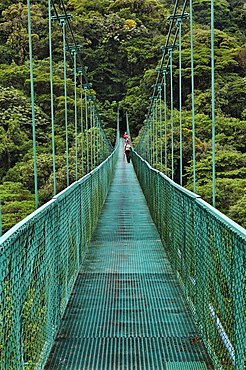 Suspension bridge in the cloud forest, Selvatura Park, Monteverde, province of Alajuela, Costa Rica, Central America