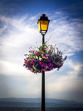 Decorative basket of flowers hanging on a street lamp, France, Europe