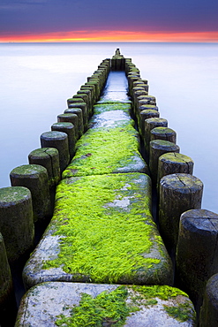 Groynes on the Baltic coast, sunset, Mecklenburg-Western Pomerania, Zingst, Fischland-Darss-Zingst, Germany, Europe