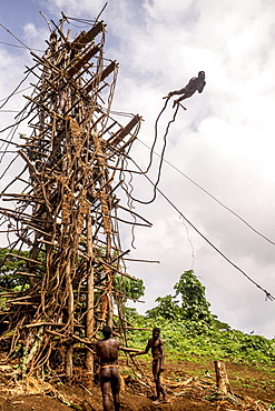 Land diver jumping, Pentecost Island, Vanuatu, Oceania