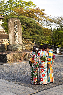 Japanese girls in traditional kimonos, group, Kyoto, Honshu, Japan, Asia