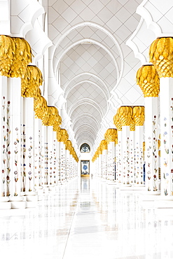 Gang in the Sheikh Zayed Mosque, Sheikh Zayid Mosque, Abu Dhabi, Emirate of Abu Dhabi, United Arab Emirates, Asia