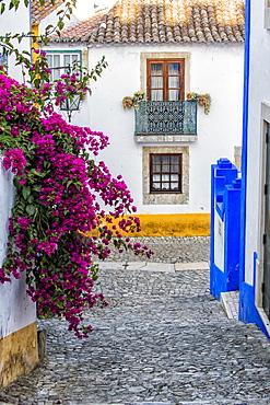 Alleyway, Obidos, Leiria District, Portugal, Europe