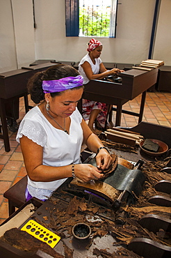 Women rolling cigars in the Dannemann cigar company, Cachoeira, Bahia, Brazil, South America