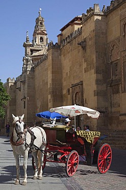 Horse and carriage outside La Mezquita, former mosque, Cordoba Catedral, Cordoba Cathedral, UNESCO World Heritage Site, Cordoba, Andalusia, Spain, Europe