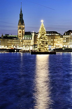 Binnenalster or Inner Alster Lake at Christmas time with Alster fir tree and city hall, Hamburg, Germany, Europe